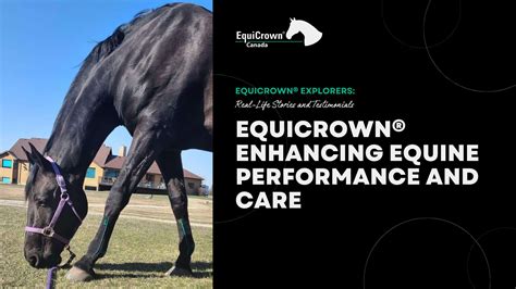 EquiCrown Canada.